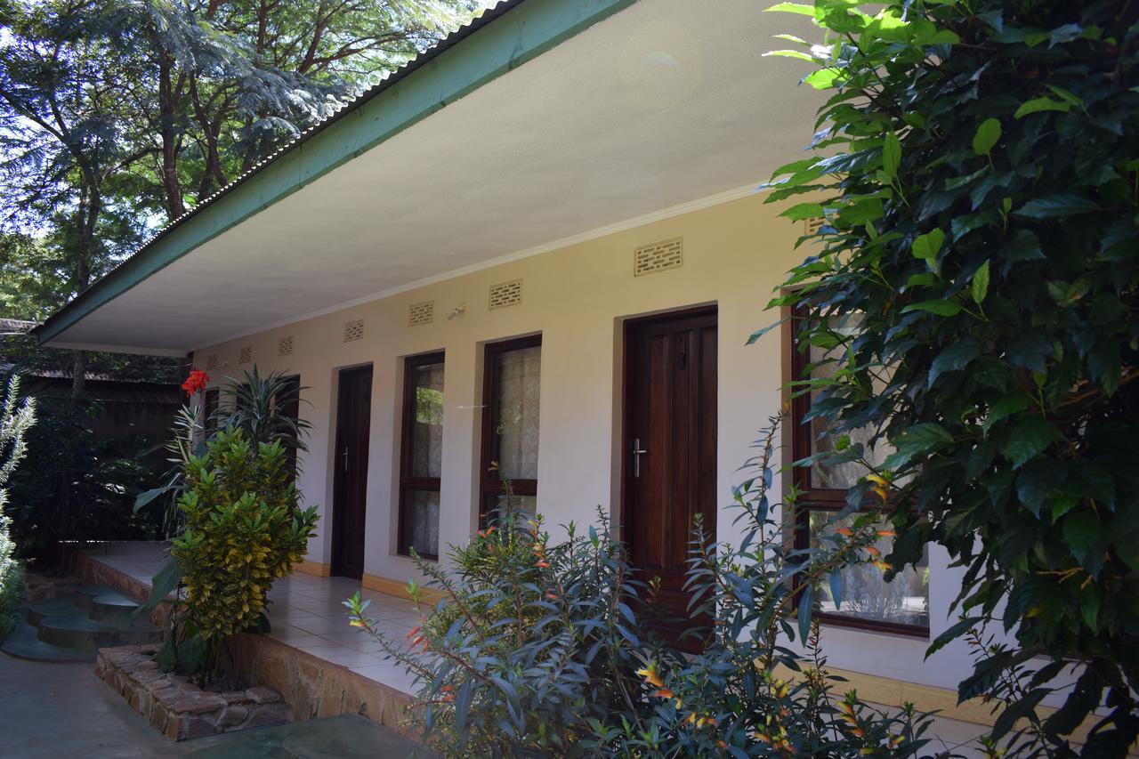 Ngorongoro Lodge Karatu Zewnętrze zdjęcie
